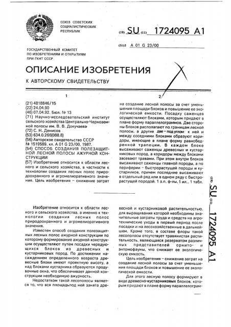 Способ создания полезащитной лесной полосы ажурной конструкции (патент 1724095)