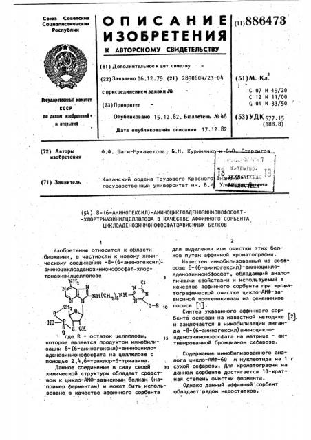 8-(6-аминогексил)-аминоциклоаденозинмонофосфат- хлортриазинилцеллюлоза в качестве аффинного сорбента циклоаденозинмонофосфатзависимых белков (патент 886473)