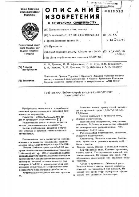 Штамм аб-192продуцент глюкоамилазы (патент 619510)