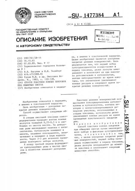 Способ пластики кожных покровов при обширных ожогах (патент 1477384)