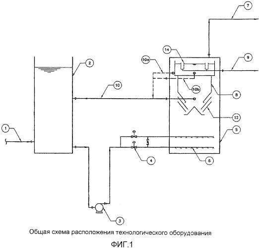 Способ и реактор для анаэробной очистки сточных вод (патент 2430020)