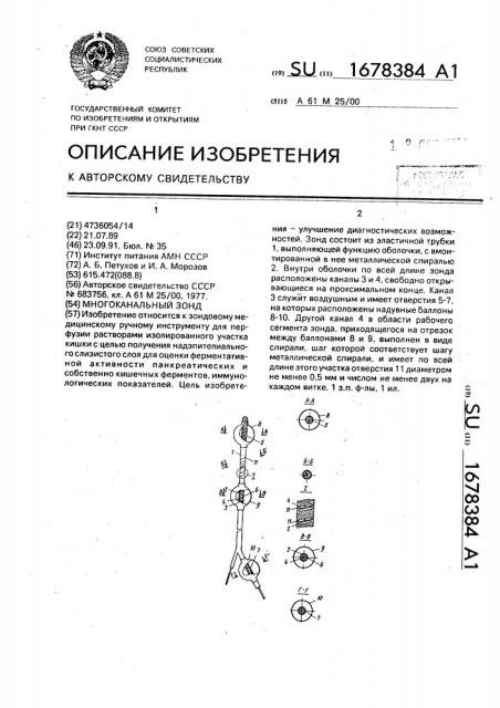 Многоканальный зонд (патент 1678384)