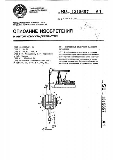 Скважинная штанговая насосная установка (патент 1315657)