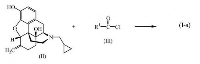 Пролекарства налмефена (патент 2495042)