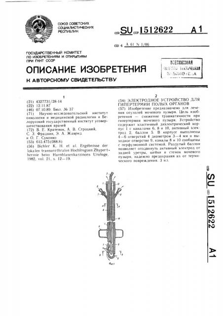 Электродное устройство для гипертермии полых органов (патент 1512622)