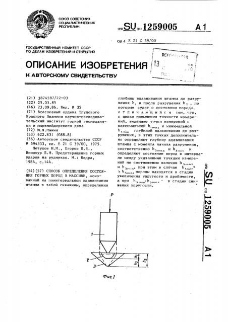 Способ определения состояния горных пород в массиве (патент 1259005)