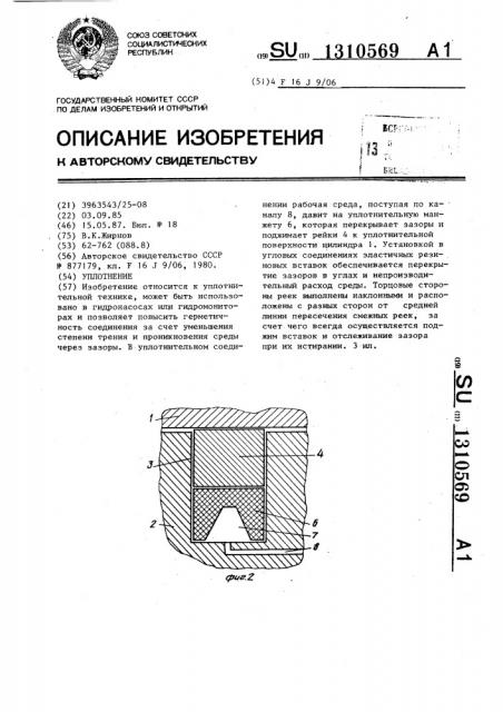Уплотнение (патент 1310569)