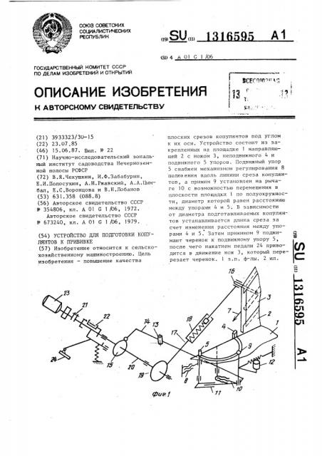 Устройство для подготовки копулянтов к прививке (патент 1316595)
