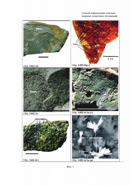 Способ определения генезиса морских осадочных отложений (патент 2665152)