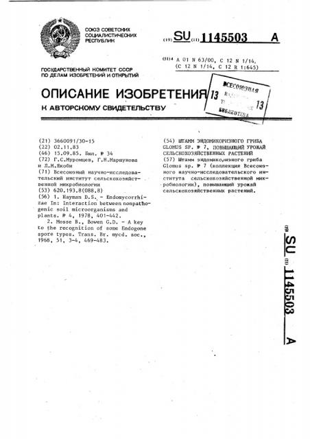 Штамм эндомикоризного гриба @ @ n7,повышающий урожай сельскохозяйственных растений (патент 1145503)