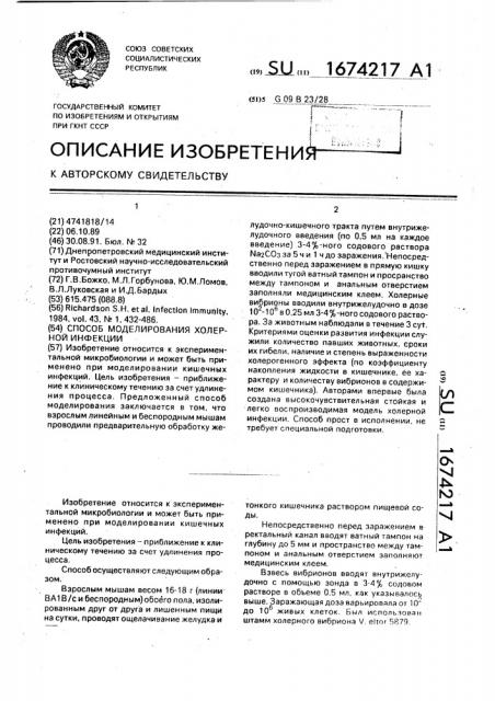 Способ моделирования холерной инфекции (патент 1674217)