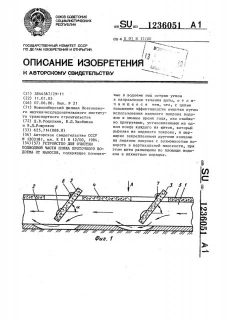 Устройство для очистки подводной части пляжа проточного водоема от наносов (патент 1236051)