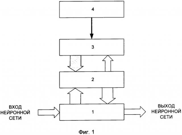 Модель нейронной сети (патент 2309457)