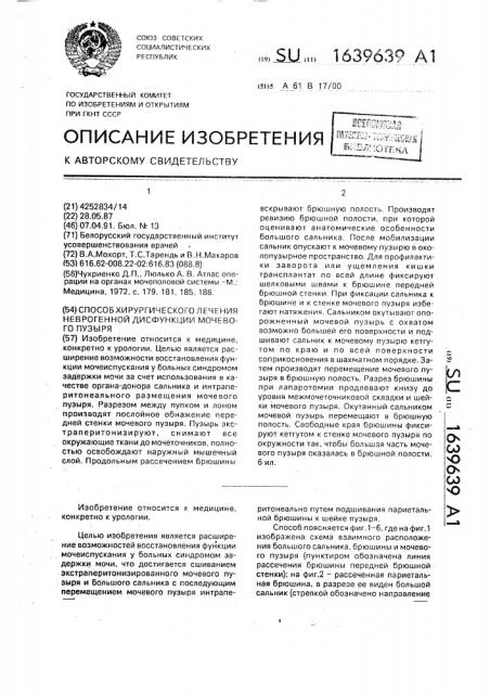 Способ хирургического лечения неврогенной дисфункции мочевого пузыря (патент 1639639)