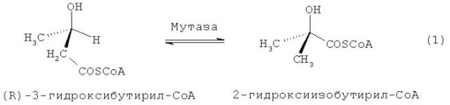 Способ ферментативного получения 2-гидрокси-2-метилкарбоновых кислот (патент 2459871)