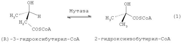 Способ ферментативного получения 2-гидрокси-2-метилкарбоновых кислот (патент 2459871)