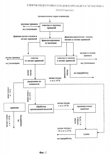 Способ подготовки плодов кориандра к хранению и переработке (патент 2617337)