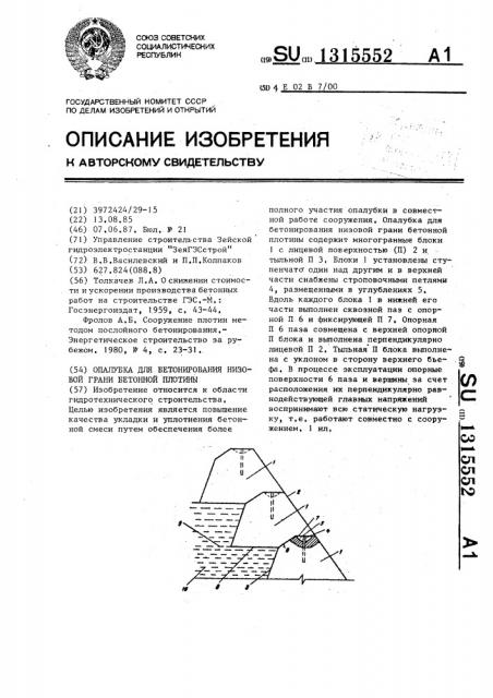 Опалубка для бетонирования низовой грани бетонной плотины (патент 1315552)