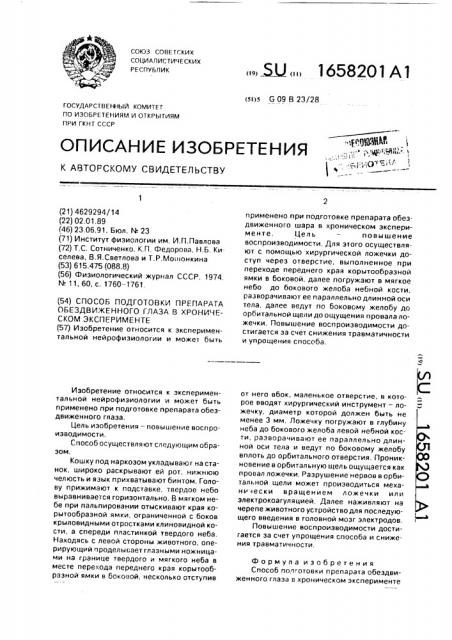Способ подготовки препарата обездвиженного глаза в хроническом эксперименте (патент 1658201)