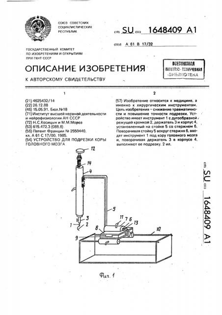 Устройство для подрезки коры головного мозга (патент 1648409)