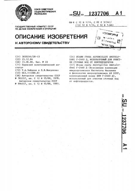 Штамм гриба @ @ г-2460 д,используемый для очистки сточных вод от нефтепродуктов (патент 1237706)
