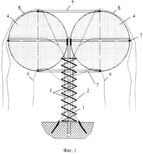 Способ формирования структуры кроны виноградника (вариант русской логики-версия 6) (патент 2479199)