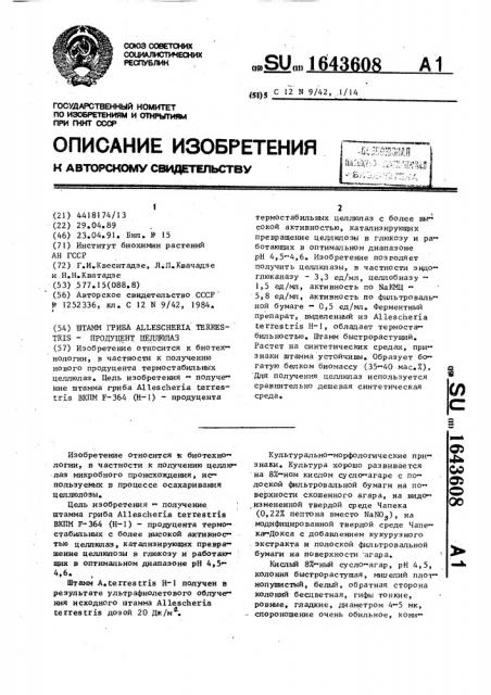 Штамм гриба аllеsснеriа теrrеsтris - продуцент целлюлаз (патент 1643608)