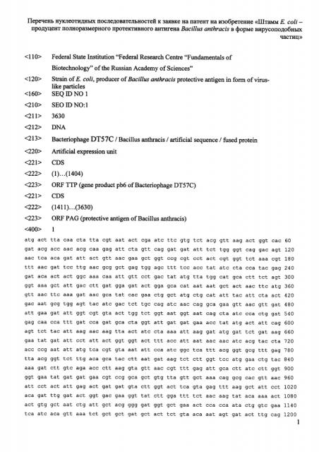 Штамм e.coli - продуцент полноразмерного протективного антигена bacillus anthracis в форме вирусоподобных частиц (патент 2633504)