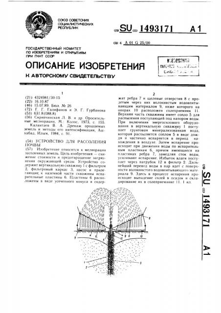 Устройство для рассоления почвы (патент 1493171)