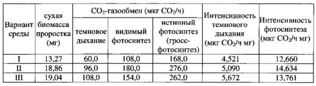 Система контроля фотосинтетического и дыхательного со2-газообмена растений, изолированных органов и тканей in vitro (патент 2572349)