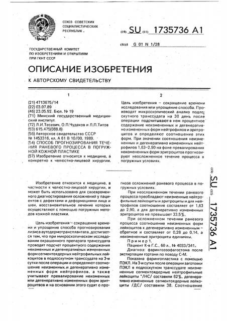 Способ прогнозирования течения раневого процесса в погружной кожной пластике (патент 1735736)