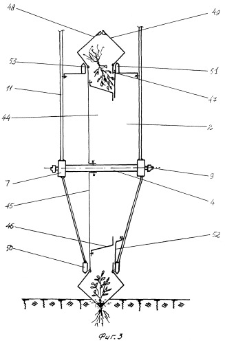Устройство для прополки (патент 2392789)