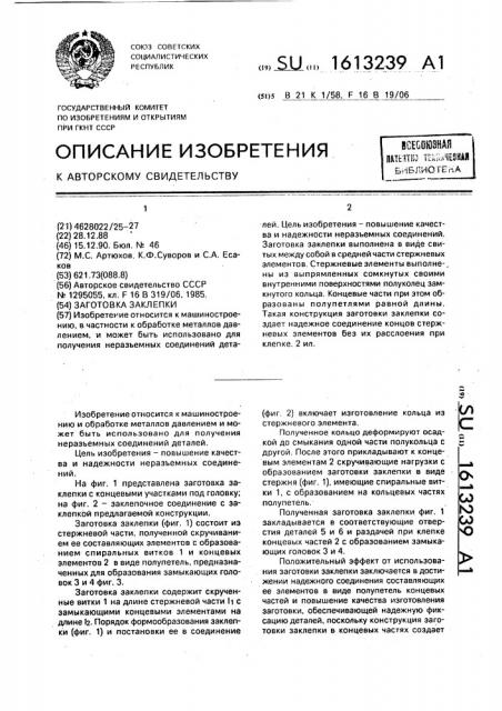 Заготовка заклепки (патент 1613239)