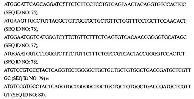 Антитела к xcr1 человека (патент 2619180)
