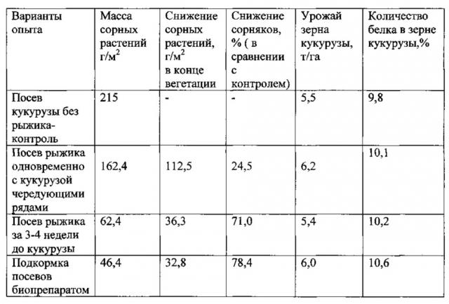 Способ снижения засоренности посевов кукурузы (патент 2624223)