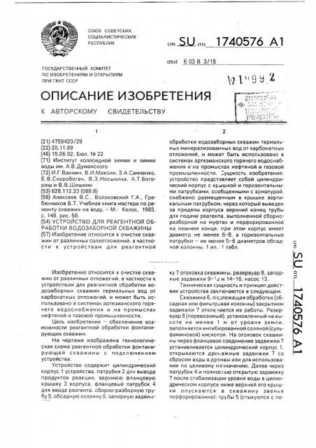 Устройство для реагентной обработки водозаборной скважины (патент 1740576)