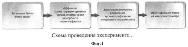 Способ дифференциальной диагностики рака предстательной железы (патент 2469333)