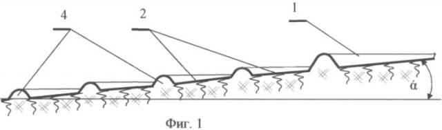 Способ сохранения водно-физических свойств почвы (патент 2485747)