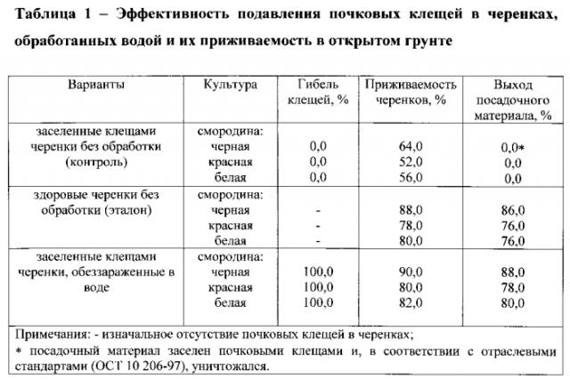 Способ обеззараживания черенков смородины от почковых клещей (патент 2581490)