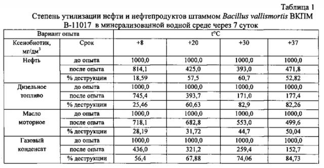 Консорциум микроорганизмов exiguobacterium mexicanum и bacillus vallismortis для очистки мерзлотных почв от нефтезагрязнений (патент 2565817)