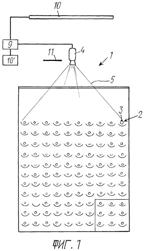 Способ проведения интерактивной игры (патент 2269159)