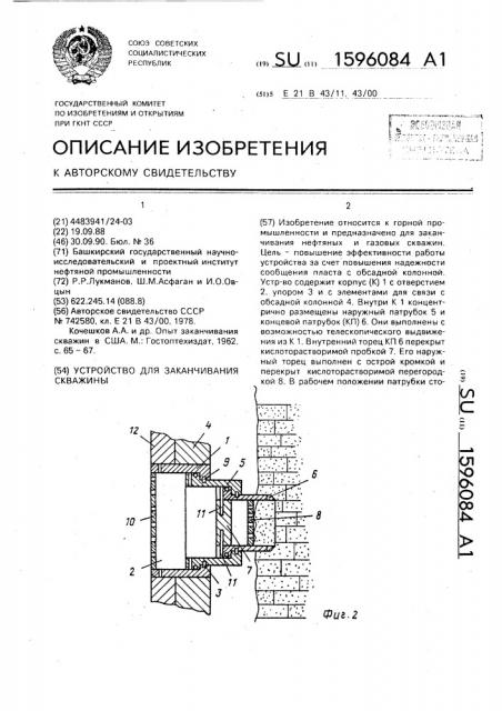 Устройство для заканчивания скважины (патент 1596084)