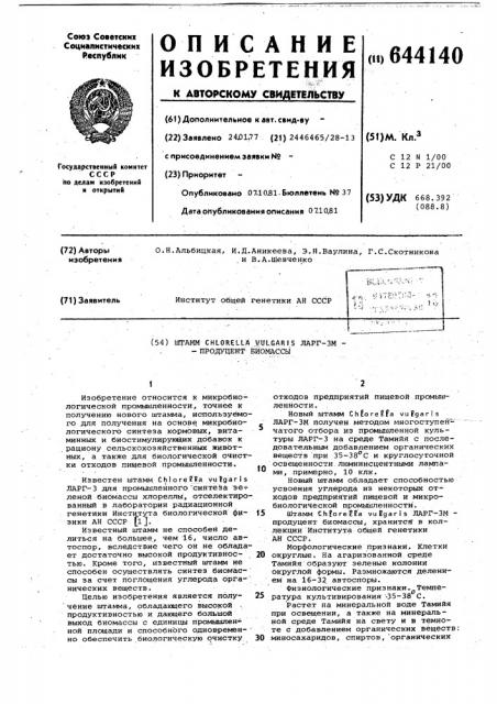 Штамм снlоrеllа vulgaris ларг-зм-продуцент биомассы (патент 644140)