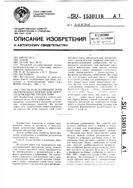 Способ рекультивации почв, загрязненных нефтью или нефтесодержащими продуктами (патент 1530116)