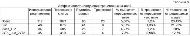 Способ создания трансгенных животных со стабильным и высоким уровнем экспрессии целевого белка в молоке (патент 2525712)