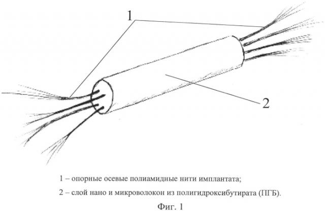 Способ повышения регенерационного потенциала имплантатов для восстановительной хирургии соединительной ткани (патент 2561830)