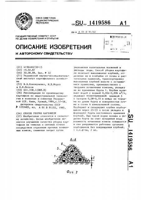 Способ уборки картофеля (патент 1419586)