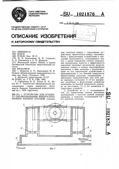 Устройство для огневого обезвреживания минерализованных жидких отходов (патент 1021876)