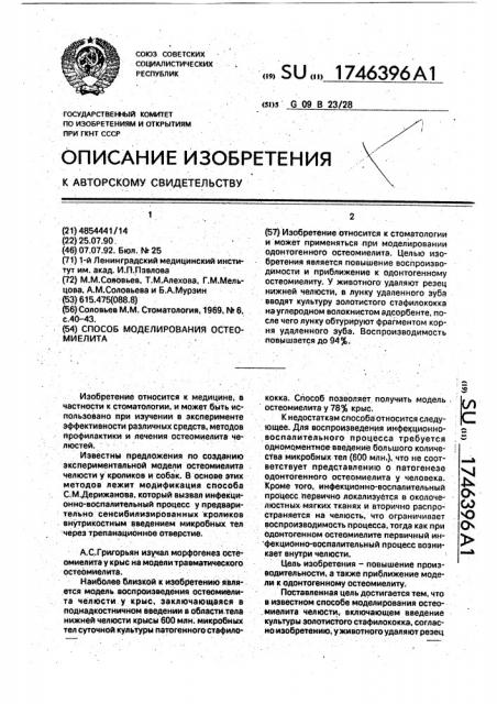 Способ моделирования остеомиелита (патент 1746396)
