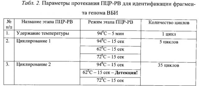 Олигонуклеотидные праймеры, флуоресцентный зонд и способ для выявления рнк вируса болезни ибараки методом полимеразной цепной реакции в режиме реального времени (патент 2540142)